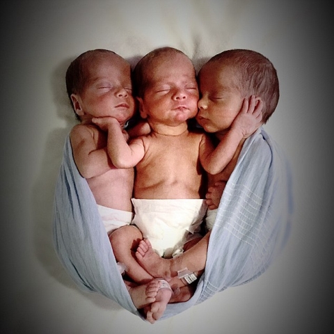Hình ảnh: Ca sinh 3 hiếm có với 3 đứa trẻ giống nhau 100% về gen số 2