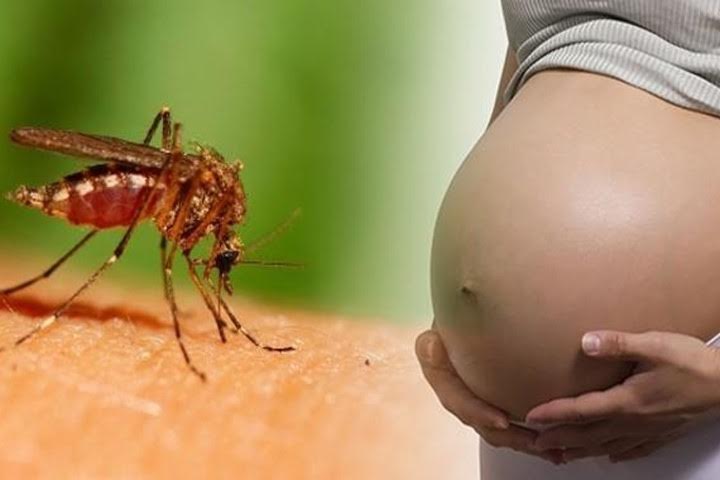 Thai phụ mắc Zika ở Sài Gòn đã sinh con